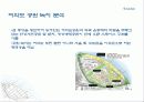 여의도의 변화과정 30페이지