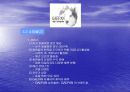 애견 창업 16페이지
