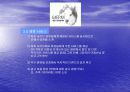 애견 창업 19페이지