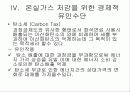 지구온난화와 기후변화협약 13페이지