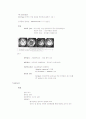 만성 중이염 chronic otitis media 2페이지
