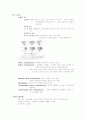 만성 중이염 chronic otitis media 3페이지