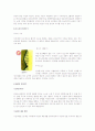 임신 (수정, 태내발달, 모체변화, 영향을 주는 태내환경) 2페이지