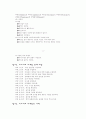 미스치프 마케팅 3페이지