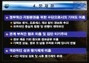현 정부의 전자정부 추진 현황과 과제 및 그에 따른 영향 분석 5페이지