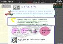 클럽 리조트 경영론-스키 리조트의 이론적 분석 및 휘슬러 스키장 사례를 이용한 전략적 이해 10페이지