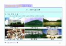 (골프카지노대학타운)계획서 8페이지