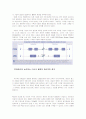 SACD에 관하여 2페이지