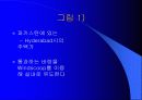인간·환경·건축의 바람직한 조화 그리고 자연 친화적인 건축물의 사례 분석 7페이지