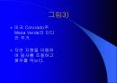 인간·환경·건축의 바람직한 조화 그리고 자연 친화적인 건축물의 사례 분석 9페이지