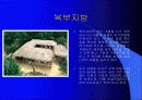 인간·환경·건축의 바람직한 조화 그리고 자연 친화적인 건축물의 사례 분석 17페이지