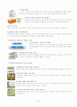 딤채의 마케팅 성공전략(최상의 자료!!!) 20페이지
