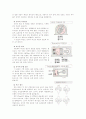 진공,이론,로타리펌프 6페이지