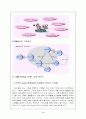 케라시스의 마케팅전략 4페이지