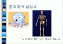 보건교사 수업실습자료-근골격계, 신경계 3페이지