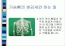 보건교사 수업실습자료-근골격계, 신경계 5페이지