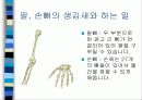 보건교사 수업실습자료-근골격계, 신경계 7페이지