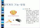 보건교사 수업실습자료-근골격계, 신경계 11페이지