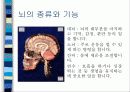 보건교사 수업실습자료-근골격계, 신경계 12페이지
