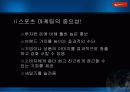 NIKE의 글로벌전략-우리나라기업에 대한 시사점 포함 15페이지