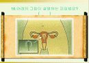 피임 및 성교육- 각 사례 및 질문으로 풀어본 피임과 성교육 자료 16페이지