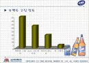 OB 맥주 시장 정복을 위한 마케팅 관리 전략 14페이지