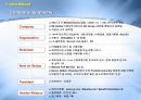 해외 인터넷 쇼핑몰-Wizwid의 마케팅 전략과 시장분석 그리고 경영전략에 대한 이해와 분석(전략발표대회금상 수상) 4페이지