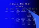 간호이론 총론-간호학의 본질과 학문적 특징 그리고 학문적, 실제적 접근 방법 29페이지