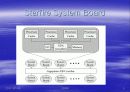 Sun Enterprise 10000Server 에 대한 분석 5페이지