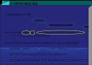 XML[extensible markup language]  20페이지