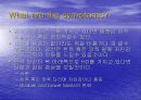 허리 및 척추 통증의 증상과 원인 그리고 치료 방법 5페이지