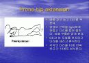 허리 및 척추 통증의 증상과 원인 그리고 치료 방법 16페이지