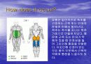 허리 및 척추 통증의 증상과 원인 그리고 치료 방법 22페이지