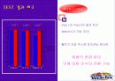 웰치의 마케팅 광고 전략 17페이지