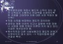 연금 파워포인트 48페이지