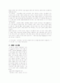 하이마트 마케팅전략 3페이지