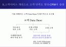도미노피자 성공사례 22페이지