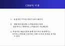 도미노피자 성공사례 23페이지
