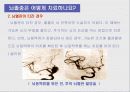 뇌혈관사고, 뇌졸중 27페이지
