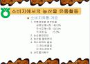 농협유통 성공사례 7페이지