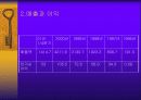 CJ쇼핑 성공사례 10페이지