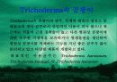 미생물농약 9페이지
