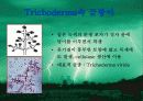 미생물농약 10페이지