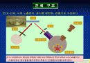 XRF(X선 형광분석법) 10페이지
