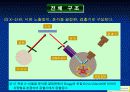 XRF(X선 형광분석법) 11페이지
