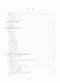 경부고속철도 -그 문제점과 해결방안- 2페이지