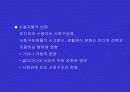 인터넷·모바일과 대중문화 연구-설문자료포함 18페이지