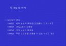 인터넷·모바일과 대중문화 연구-설문자료포함 22페이지