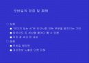 인터넷·모바일과 대중문화 연구-설문자료포함 27페이지