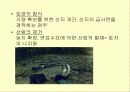 사막화의 원인과 그에 따른 영향 및 피해사례와 대처방안 연구 5페이지